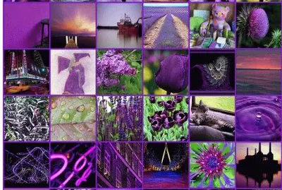 Everything Purple Collage