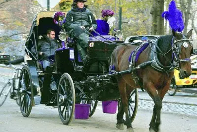Horse Drawn Carriage Ride-Central Park NYC