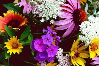 foto jigsaw puzzle