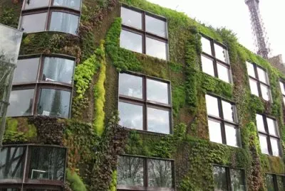 פאזל של FaraÃ³n