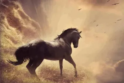 caballos jigsaw puzzle