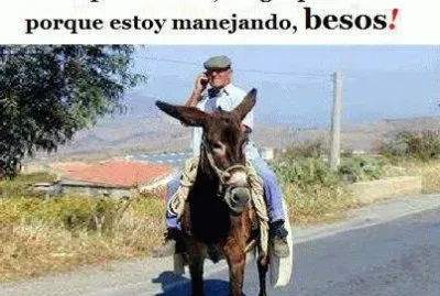 celular jigsaw puzzle