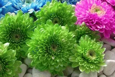 image jigsaw puzzle