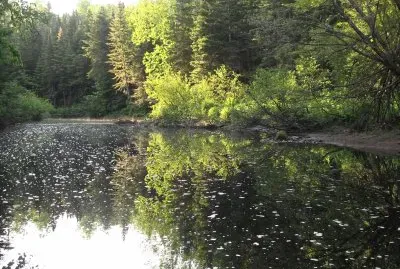 Black River NB