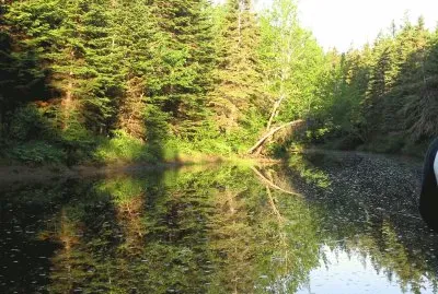 Black River NB