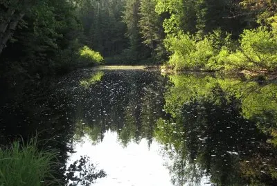 Black River NB