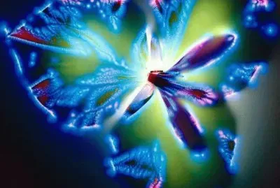 luces