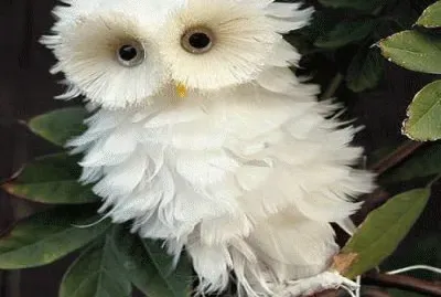 La Lechuza jigsaw puzzle