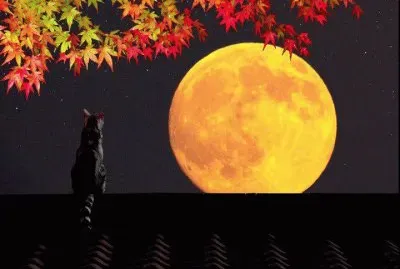 ImÃ genes jigsaw puzzle