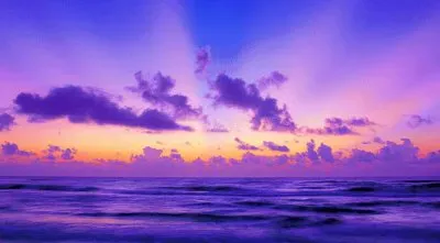 Purple Dawn