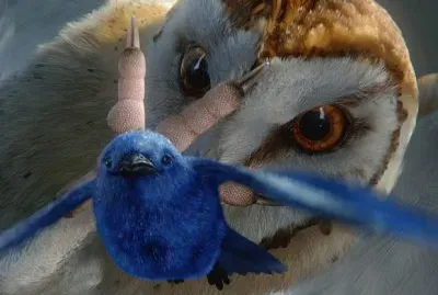 The Owls of Ga Hoole 6