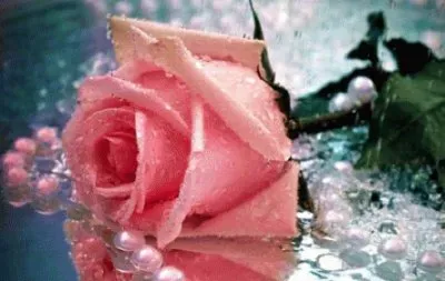 image jigsaw puzzle