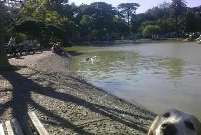 PARQUE1