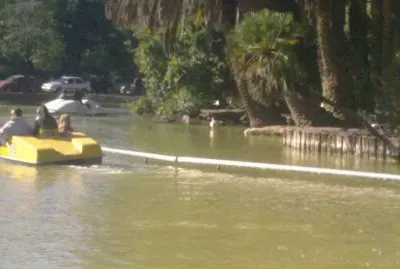 פאזל של PARQUE3