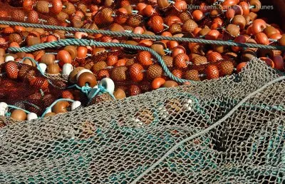 פאזל של download (5)