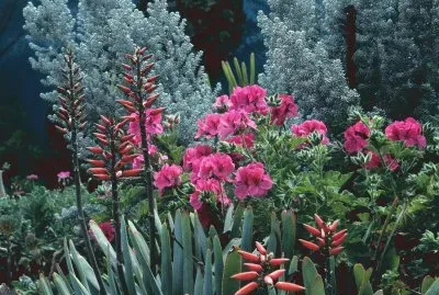 JardÃ­