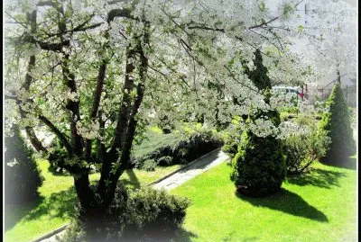 Paisagem