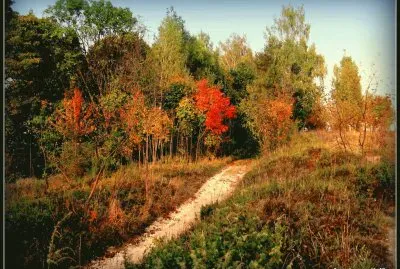 Paisagem