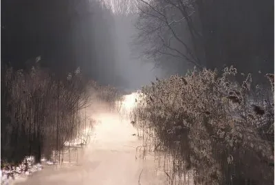 Natureza