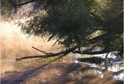 Natureza