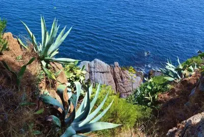 פאזל של Natura