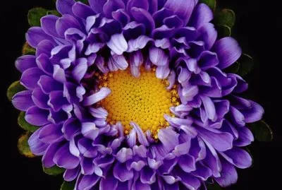 â™¥ jigsaw puzzle