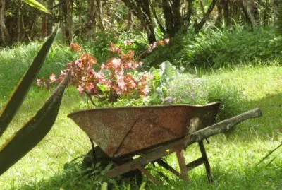 Jardin 13