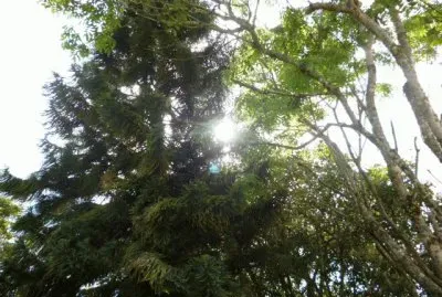 Jardin 20