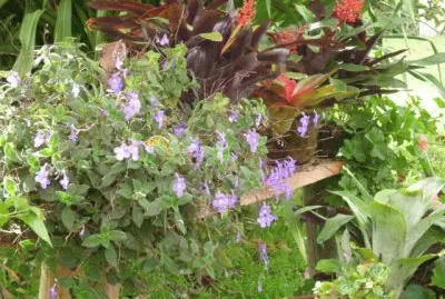 Jardin 22