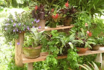 Jardin 23