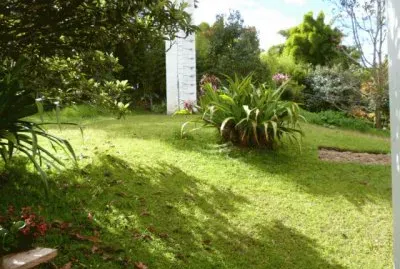 Jardin 24