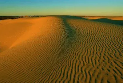 Imagenes