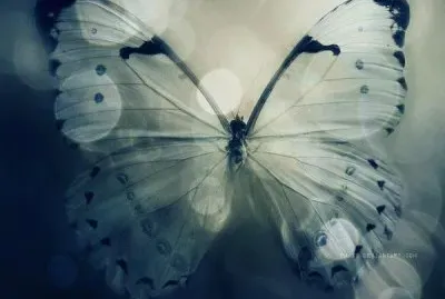 Imagenes jigsaw puzzle