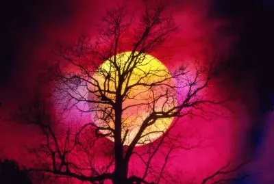 luna azul jigsaw puzzle