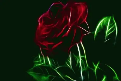 rosa digital