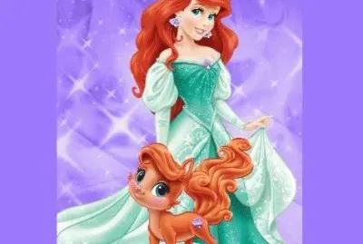 Ariel   pet