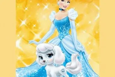 Cinderella   pet