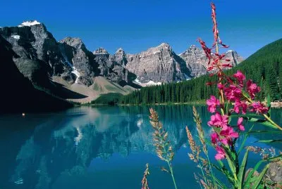 Natureza Fria