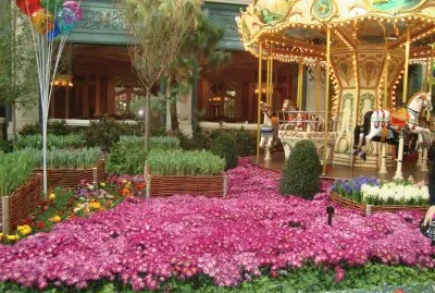 florido jigsaw puzzle