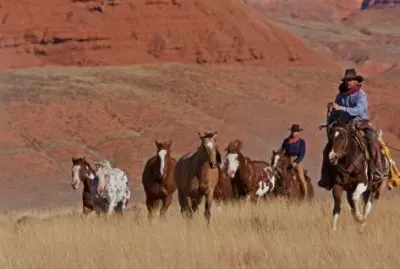 פאזל של wyoming cowboys