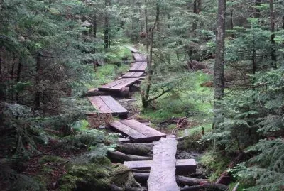 spring in Appalachia