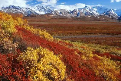 Denali