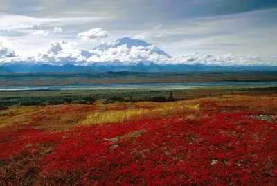 denali