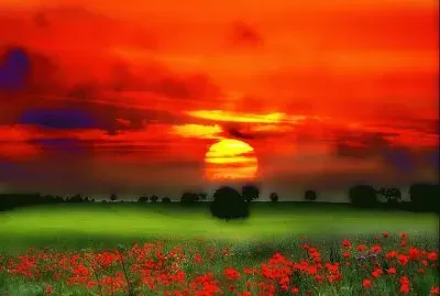 Imagenes