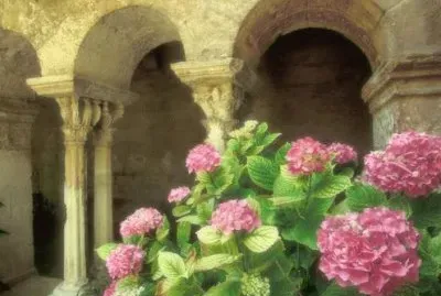 flores jigsaw puzzle