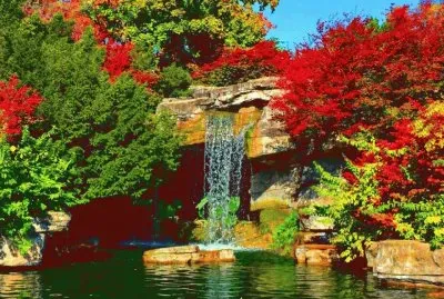 jardin acuoso