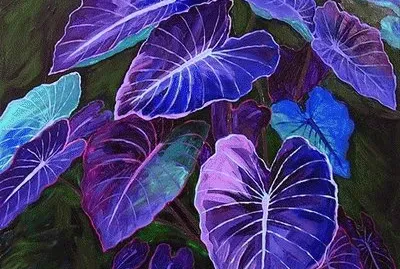 Purple Violet Plant-Art