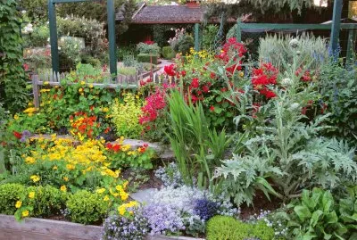 front garden