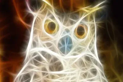 BÃºho blanco