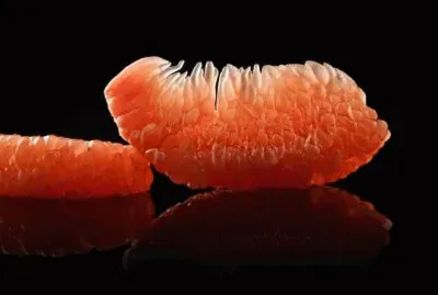 citrus